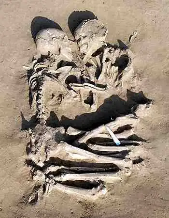 Endless love, lets be together for 5000 year more