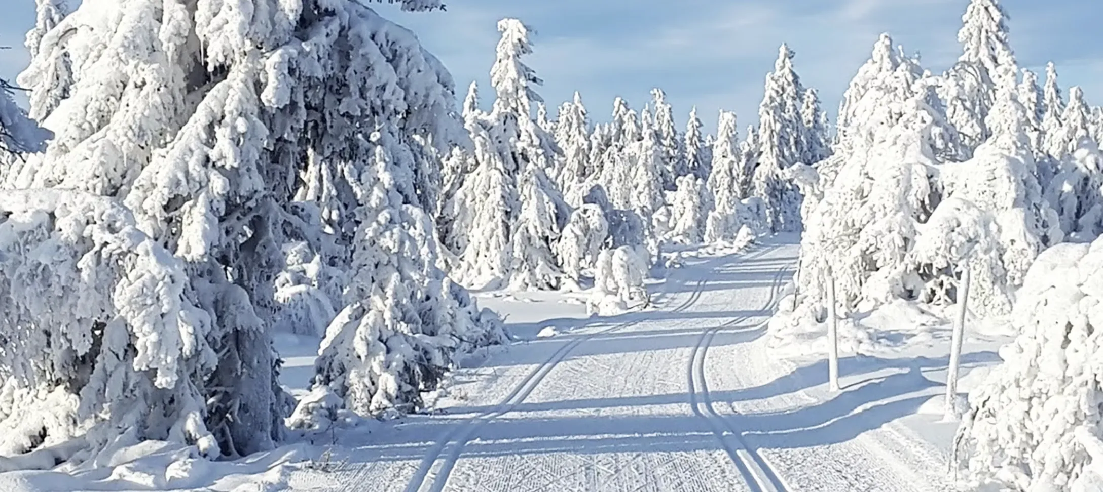Se lancer dans le ski de fond